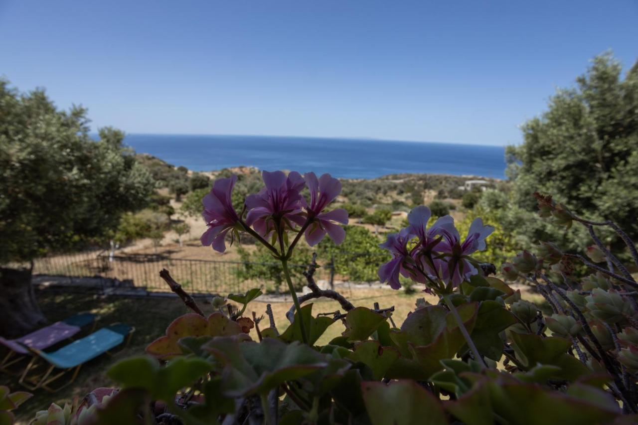 Manolis' House Villa Agia Paraskevi  Eksteriør bilde