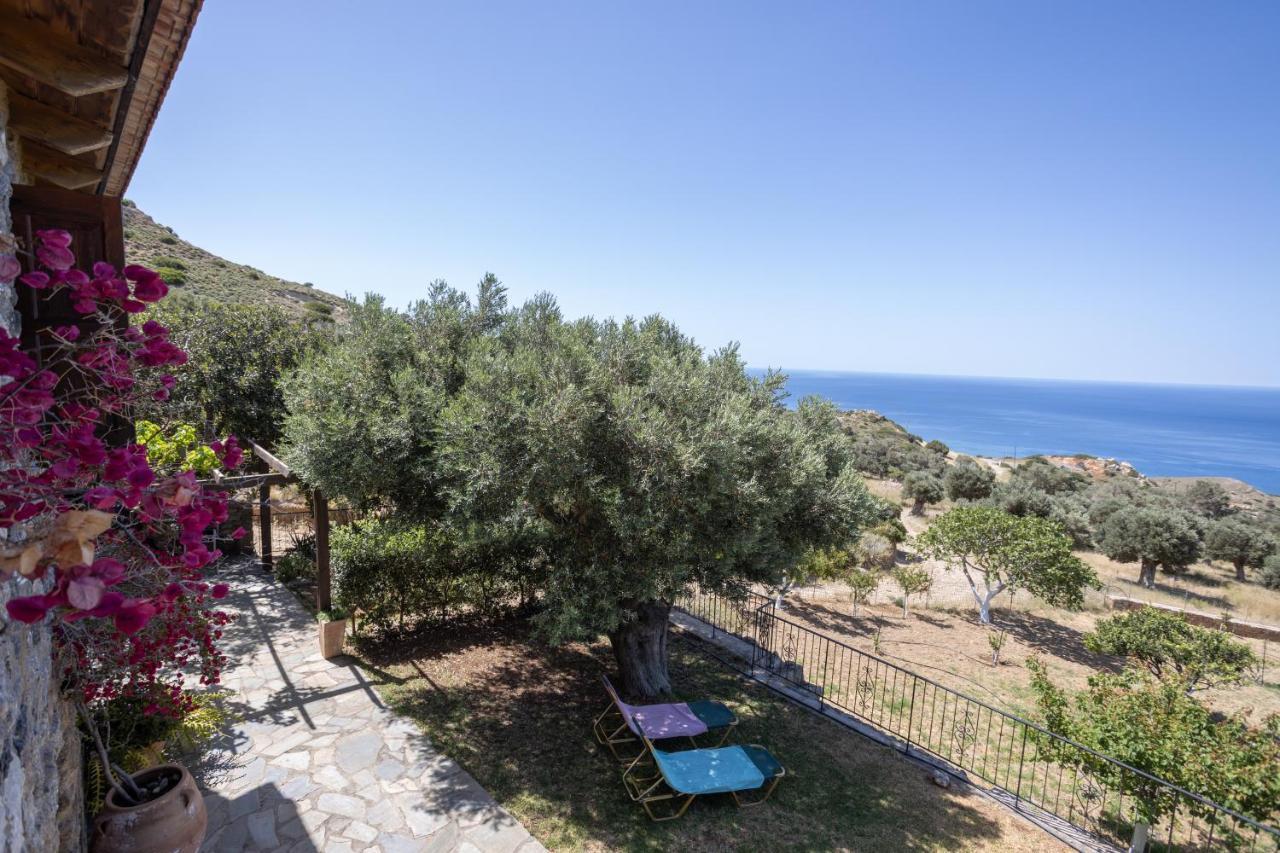 Manolis' House Villa Agia Paraskevi  Eksteriør bilde